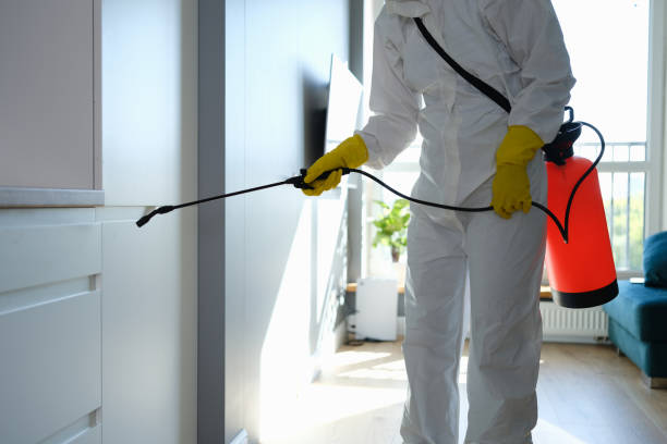 Best Residential Mold Removal  in Ridgway, PA